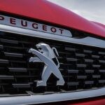 Peugeot-parrilla
