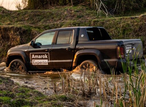 Arranca un nuevo año de Amarok Experto