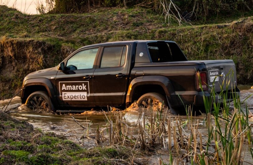 Arranca un nuevo año de Amarok Experto