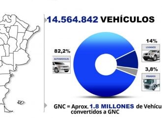 Cómo es el parque circulante en la Argentina