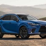 rx-350-f-sport-section-divider1-d