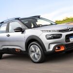 c4 cactus frente
