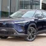 XRX-Hybrid_C.Cross_2025_2