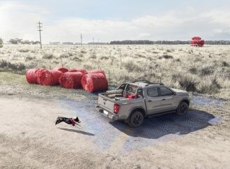 Mascotas a bordo: consejos para un viaje seguro