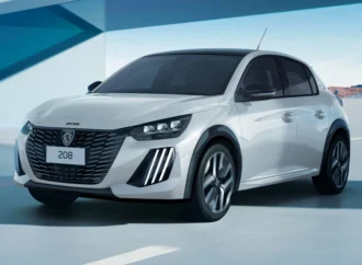 Ventas 2024 enero-noviembre: segmento por segmento