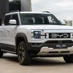 2025-06-2025-byd-shark-6